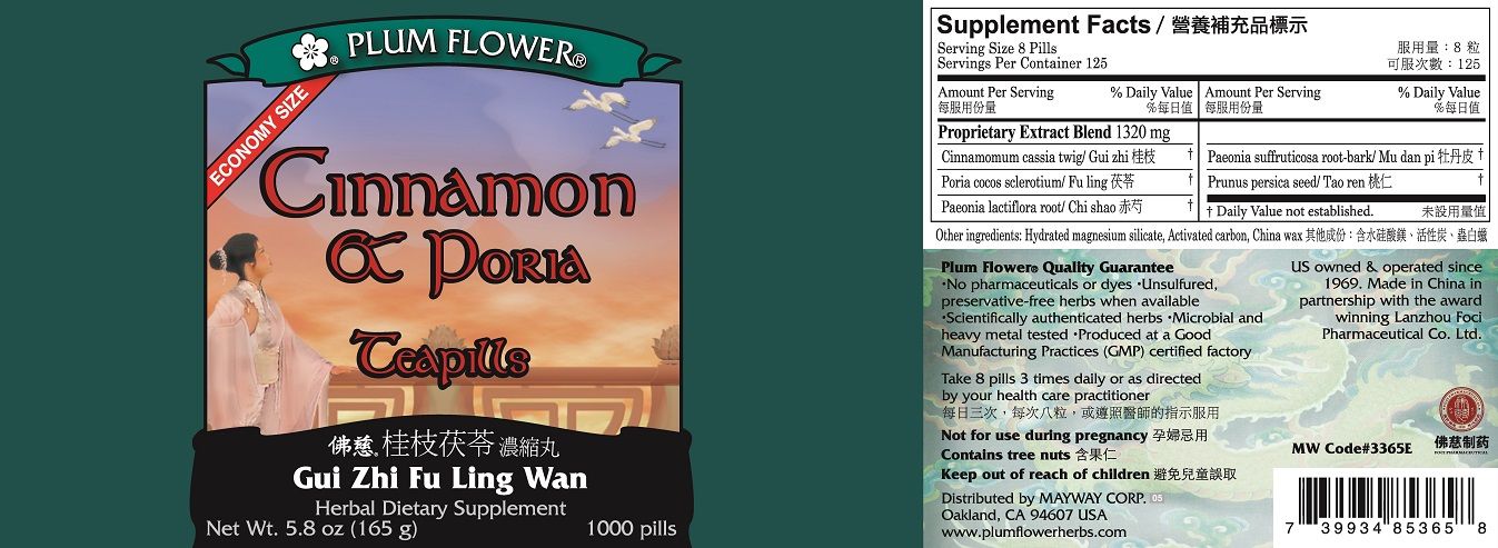 Cinnamon & Poria Teapills - All - Natural Healing Store