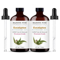 Eucalyptus Essential Oil - All - Natural Healing Store