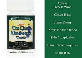 Great Windkeeper Teapills - All - Natural Healing Store