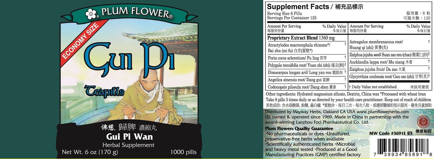 Gui Pi Teapills - All - Natural Healing Store