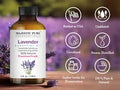 Lavender Essential Oil - All - Natural Healing Store
