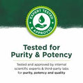 Milk Thistle 500mg - All - Natural Healing Store