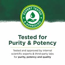 Milk Thistle 500mg - All - Natural Healing Store