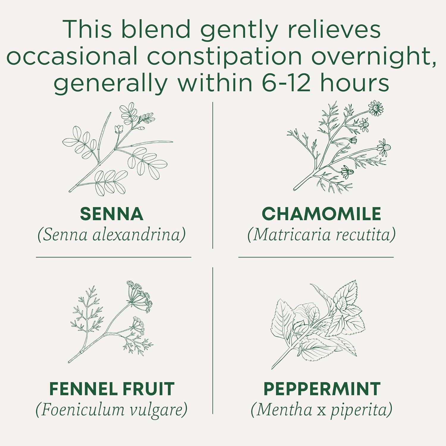 Smooth Move Tea - All - Natural Healing Store