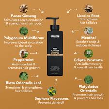 Spartan Root Activator Shampoo - All - Natural Healing Store