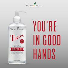 Thieves Waterless Hand Sanitizer - All - Natural Healing Store