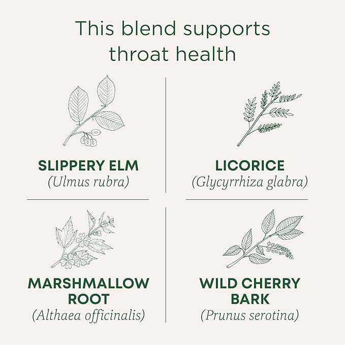 Throat Coat Tea - All - Natural Healing Store