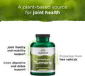 Turmeric Full Spectrum - All - Natural Healing Store